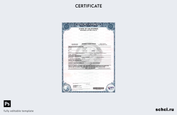 цифровая загрузка шаблона страниц записи о рождении, США, Калифорния